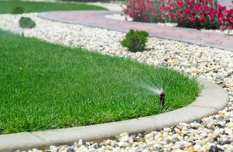 water-your-lawn