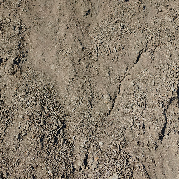 semi-fill-soil