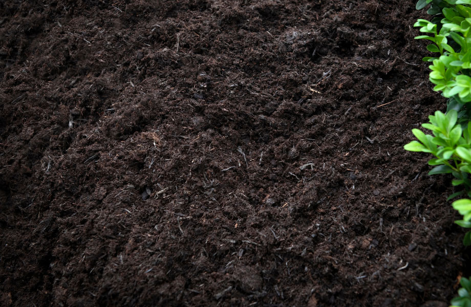 picture-of-compost