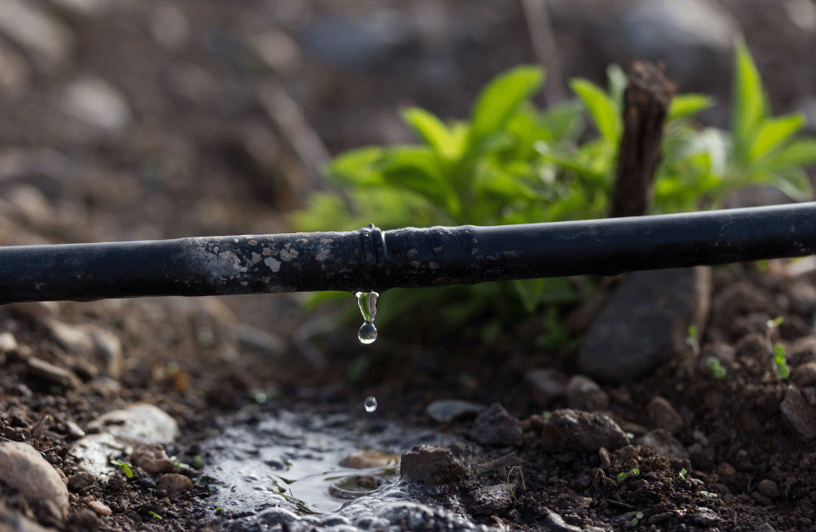 image of a drip irrigation system pipe with one drop of water coming off and falling to the dirt