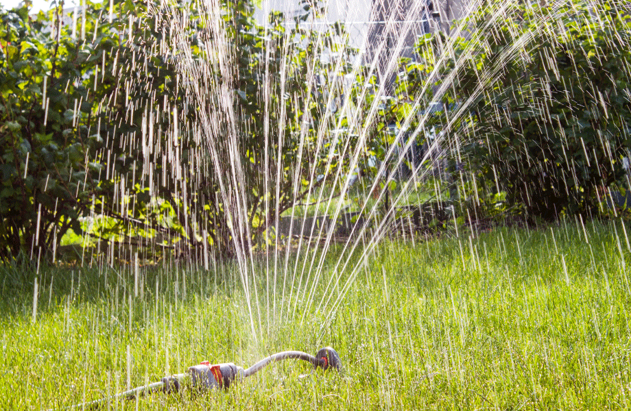 image of rotating sprinkler on a green lawn