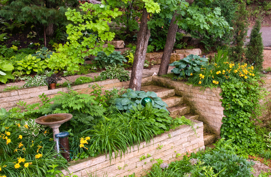 image of a lush multi level garden bed with spilling plantings, trees, a water feature and stone steps