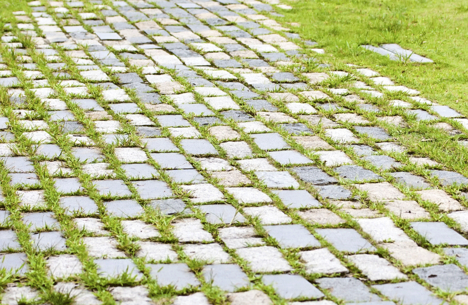 image of pavers set in lawn with grass growing up in between for how to lay pavers in lawn