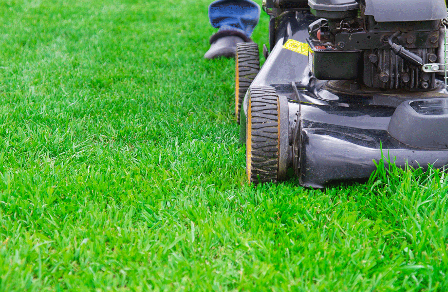 image of the a lawn mower on the lush green blades of TifTuf Turf
