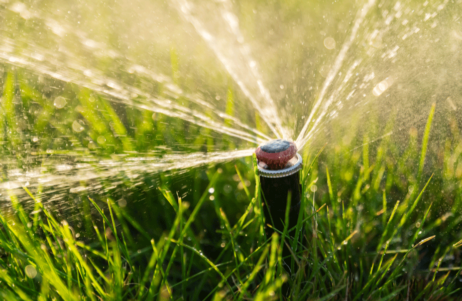 close up image of a sprinkler spraying water on blades of grass