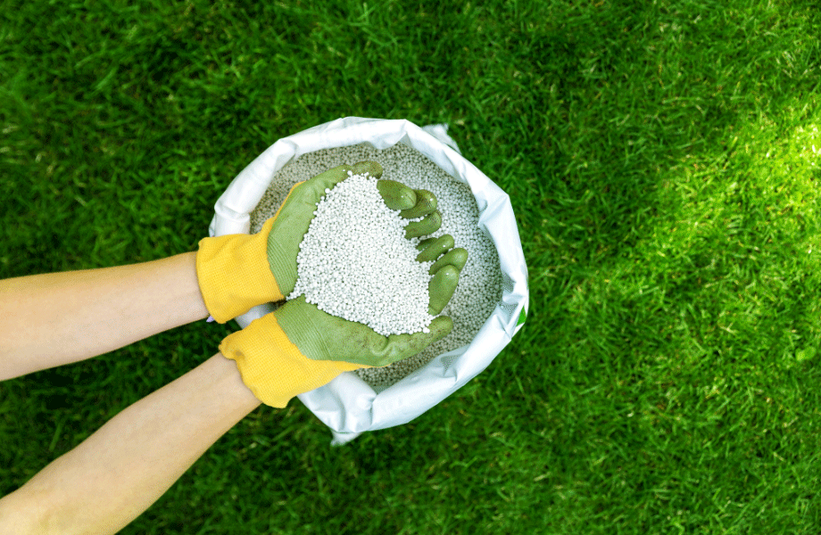 gloved hands reaching into a bag of fertiliser on to top of a lush green lawn for lawn care