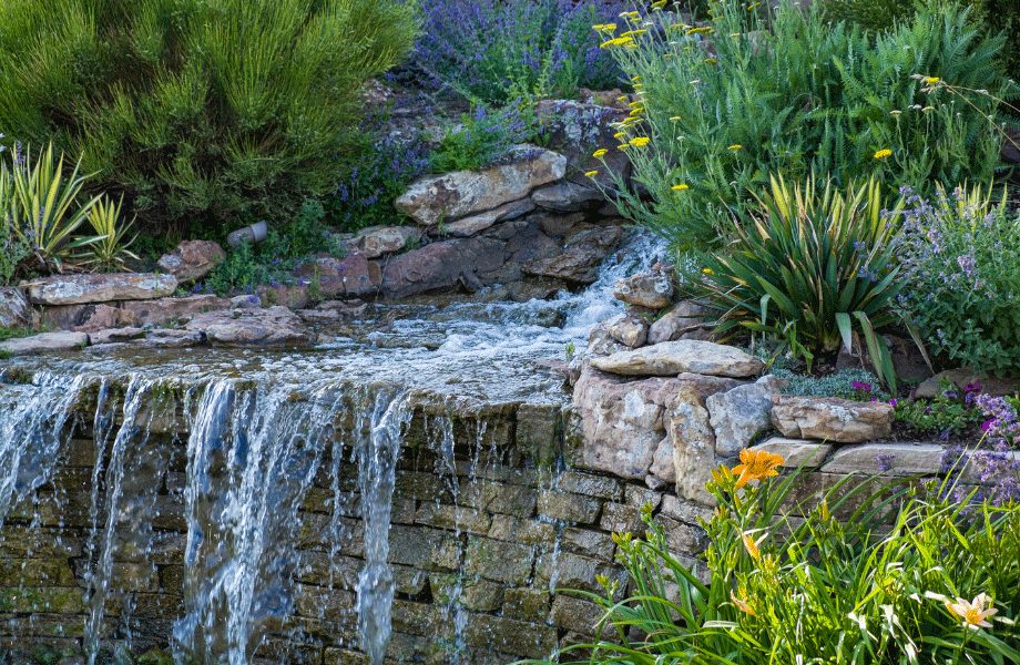 feature corner with a water feature over a stone wall and green plantings around