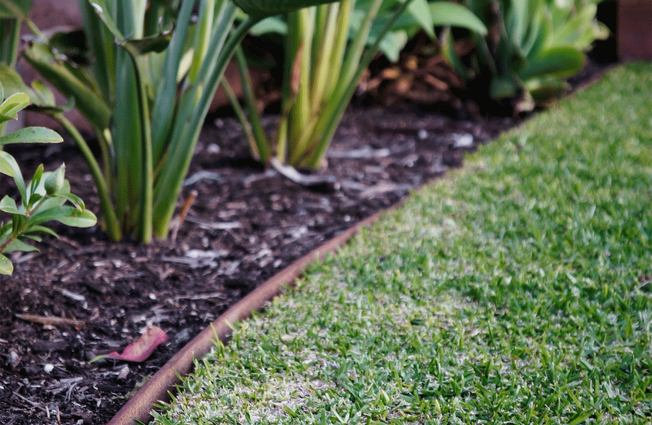 image of metal garden edging separating planted garden bed and green close clipped lawn