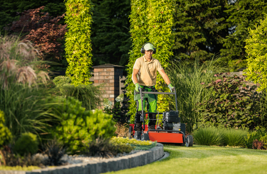 worker in hat, green pants and orange shirt pushing a red mower between garden beds over lush section of aussie blue couch