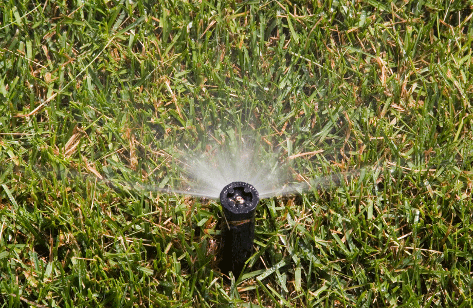 image of an automatic sprinkler in a lush green lawn for autumn lawn care
