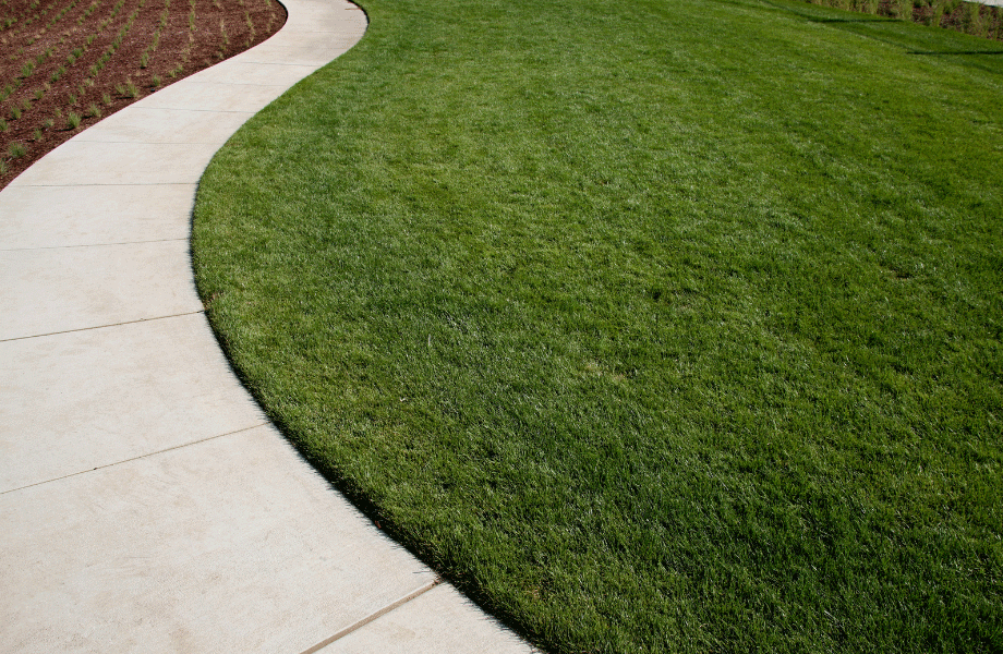 light concrete path weaving through green grass on one side and a planted garden bed on the other