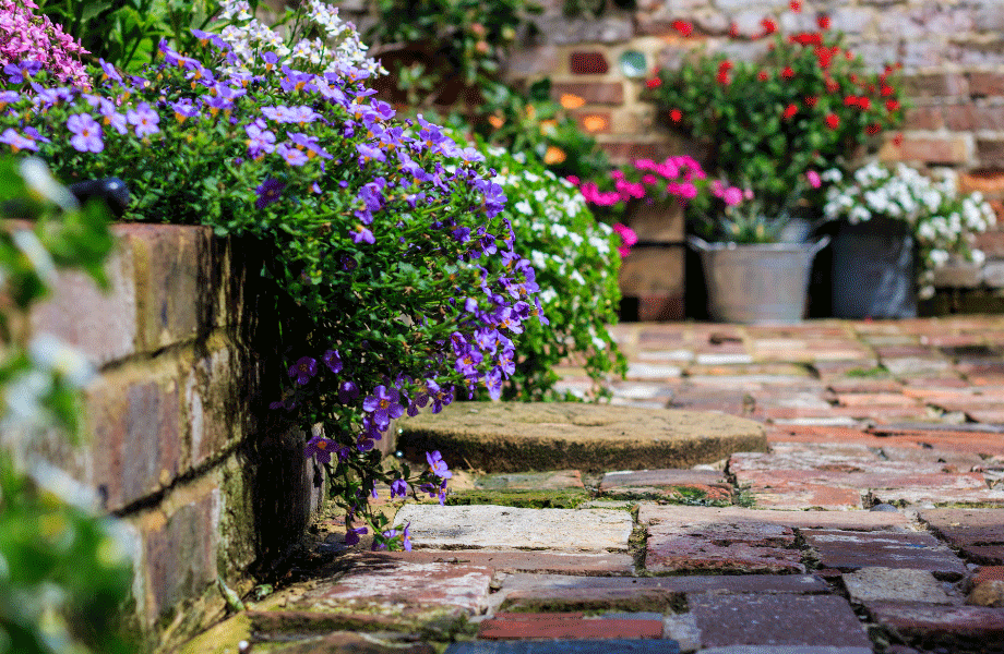 paved garden space with flowers hanging over the brick wall and in pots around the outside for rustic garden ideas