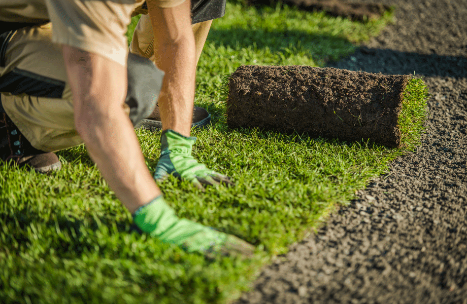 image of a workman lying fresh turf with the turf rolled up and pressing it down 