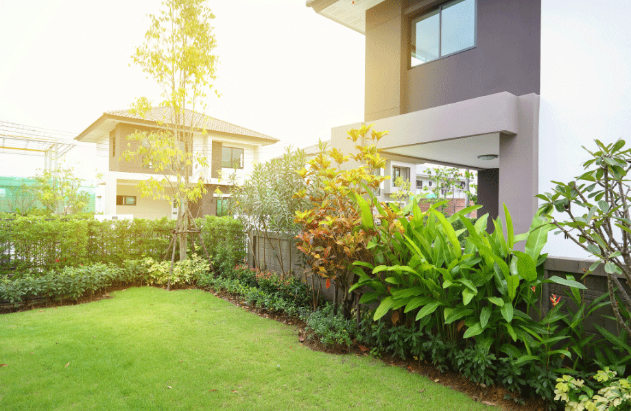 image of a lush green lawn surrounding by edging of gardens with two homes in the background