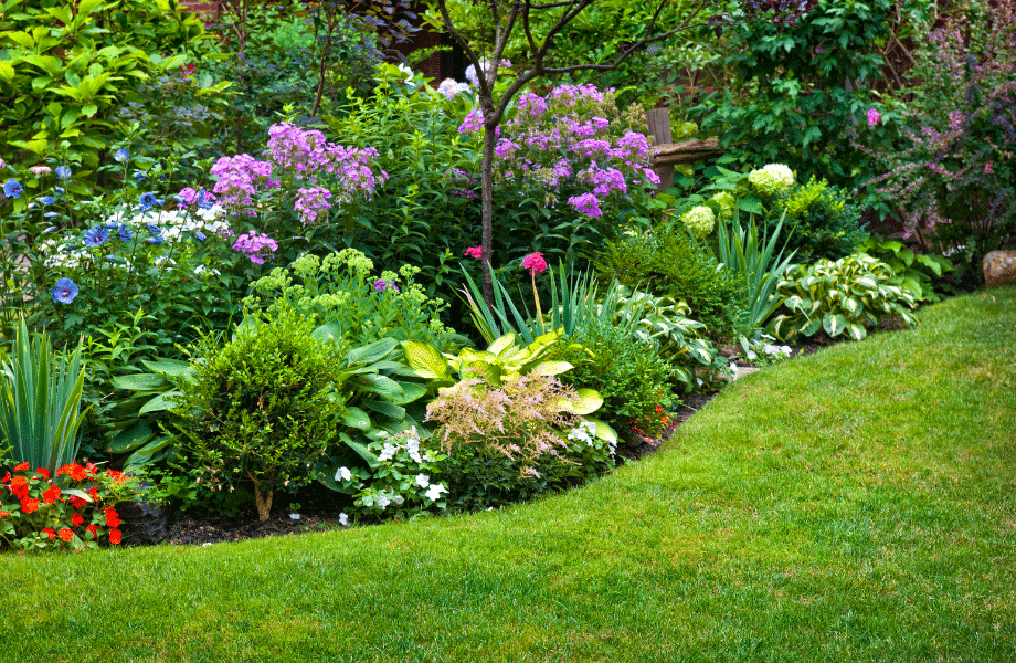bright colourful garden bed with lush greens, reds, blues, purples, pinks and yellows with a green lawn