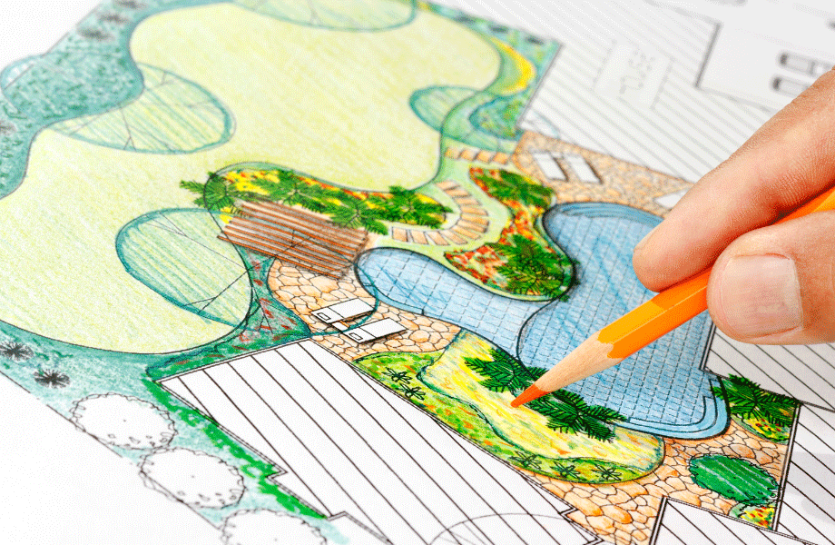Garden illustration showing a natural pool, garden beds, patio and deck spaces and large green spaces with an orange coloured pencil adding colour 