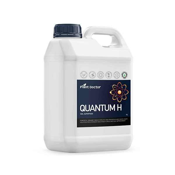 close up image of the white and blue bottle with the blue label of Quantum H against an all white background