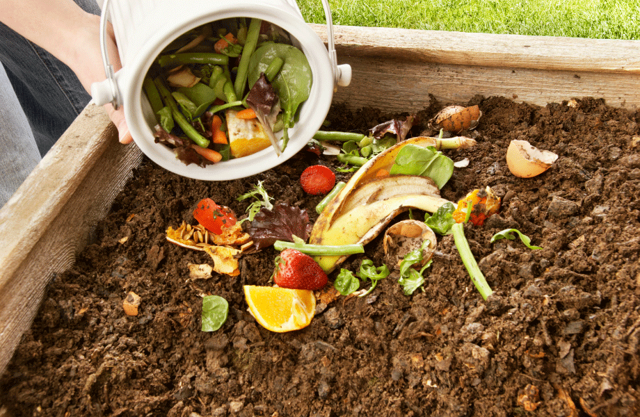 close up of kitchen scraps being dropped onto fresh compost with a green lawn in the background to create a drought proof garden