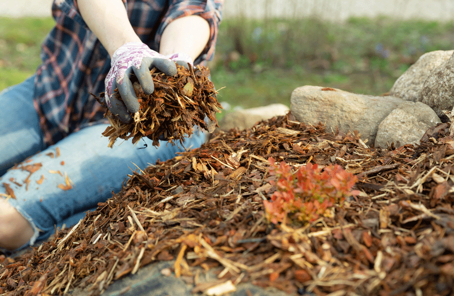 woman in flannel shirt picking up piles of mulch to drought proof her garden