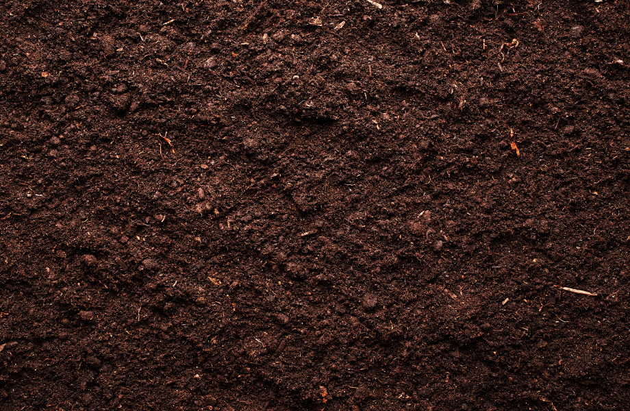 close up image of rich brown soil